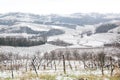 Snow in vineyars in Slovenia in GoriÃÂ¡ka Brda