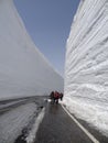 Snow wall