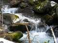 Snow and water interacting int he spring after a fresh snowfall in the Smokeys, USA Royalty Free Stock Photo