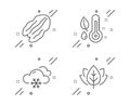 Snow weather, Pecan nut and Thermometer icons set. Organic tested sign. Snowflake, Vegetarian food, Grow plant. Vector