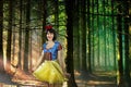 Snow White cosplay in the mysterious forest closeup. Artistic processing