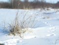 Snow-white snow the earth sheltered by it. Countryside and snowfall. Winter dunes and mountains of snowflakes. Stock