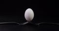 Snow-white egg balancing on forks Royalty Free Stock Photo
