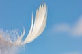 Snow-white feather on blue sky background with clouds, lightness concept Royalty Free Stock Photo