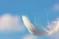 Snow-white feather on blue sky background with clouds, lightness concept Royalty Free Stock Photo