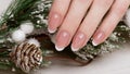 Snow White manicure on female hands. Winter nail design. Royalty Free Stock Photo