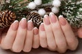 Snow White manicure on female hands. Winter nail design. Royalty Free Stock Photo