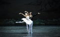 Snow white and Prince Charming-The last scene of Swan Lake-ballet Swan Lake Royalty Free Stock Photo