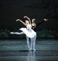 Snow white and Prince Charming-The last scene of Swan Lake-ballet Swan Lake