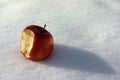 Snow White`s apple on the snow. Royalty Free Stock Photo