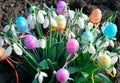 Snow-white snowdrops and decorative eggs on a spring background Royalty Free Stock Photo