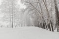 Winter treadmill at the stadium `Burevestnik` in Tomsk. Royalty Free Stock Photo