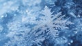 Snow in winter close-up. Macro image of snowflakes, winter background. Nice background on the theme of winter, christmas, new year Royalty Free Stock Photo