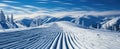 Snow winter covered landscape with skiing tracks