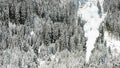 Snow winter forest firs trees texture chimney flue smoke