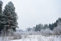 Snow winter, forest, freezing, atmospheric phenomenon, geological phenomenon, winter storm. Trees in the snow and haze. Winter for