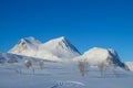 Snow winter in the mountains of Sweden, Sarek and Abisko Royalty Free Stock Photo
