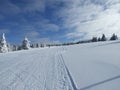 Snow winter scene Kopaonik mountain Royalty Free Stock Photo