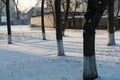 Snow in winter and tree trunks in the schoolyard Royalty Free Stock Photo