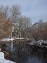 Snow and winter trees reflected in pond