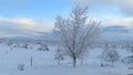 Utah winter2