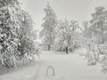 Snow winter white landscape, Russia. Cold rural scene Royalty Free Stock Photo