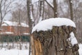 Snow on a wooden stump. Hello winter. Royalty Free Stock Photo