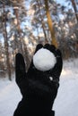 Snowball throwing