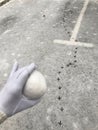 Snowball in a woman`s hand. Against the background of asphalt covered with the first snow. There are footprints of a large bird i Royalty Free Stock Photo