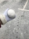 Snowball in a woman`s hand. Against the background of asphalt covered with the first snow. There are footprints of a large bird i Royalty Free Stock Photo