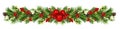 Snowberries with green twigs of Christmas tree, red decorations and cones in a festive garland isolated