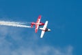 Snowbirds 012