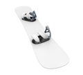 Snowboard with Bindings Isolated Royalty Free Stock Photo