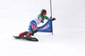 Snowboard European Cup Royalty Free Stock Photo