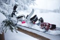 Snowboard with fastening covered with snow