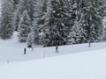 Snowboard and ski trails or alpine trails for winter sports above the tourist resort of Lenzerheide Royalty Free Stock Photo