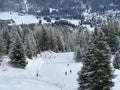 Snowboard and ski trails or alpine trails for winter sports above the tourist resort of Lenzerheide Royalty Free Stock Photo