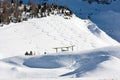 Snowboard tracks in alps forest landscape