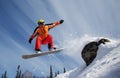 Snowboarder Royalty Free Stock Photo