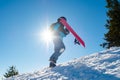 Snowboarder Climbing up with Red Snowboard in the Mountains at Sunny Day. Snowboarding and Winter Sports Royalty Free Stock Photo