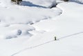 Snowboarder, Cuneaz, Ayas valley (Italy)