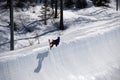 Snowboarder on half pipe trail