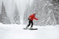 Snowboarder female offpiste forest ski slope