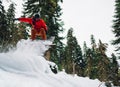 Snowboarder in red suit is riding in the mountain forest