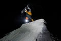 Snowboarder riding down the snowy mountain slope at the dark night Royalty Free Stock Photo