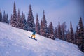 Snowboarder riding on slope with snowy forest, sheregesh ski resort sunset Royalty Free Stock Photo