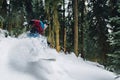 Snowboarder is riding very high and freeriding from hill in the mountain forest