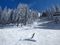 A snowboarder on slopes on a sunny day. Royalty Free Stock Photo