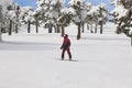 Snowboarding on a forest ski slope. White winter mountain landscape