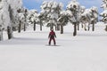 Snowboarding on a forest ski slope. White winter mountain landscape Royalty Free Stock Photo